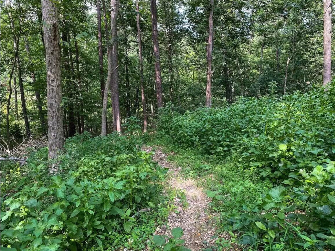 Direct trail access to Back 40 at The Shred Shack